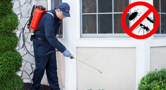 Bostanlı Hamam Böceği İlaçlama böcek ilaçlama ve haşere kontrolü — ilaclama-tr.com